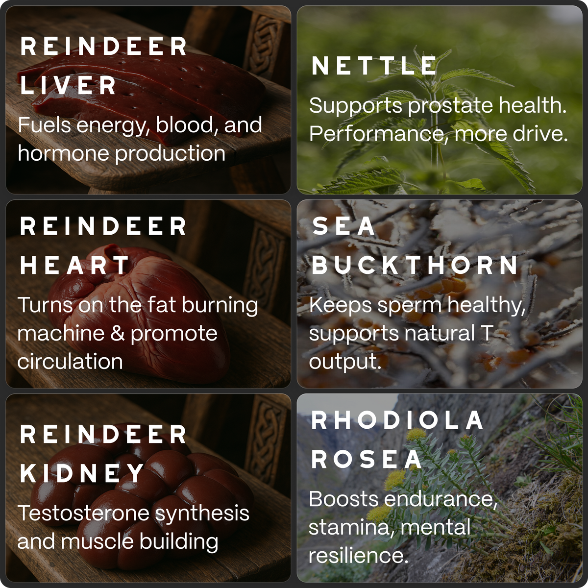 Reindeer Organ Complex