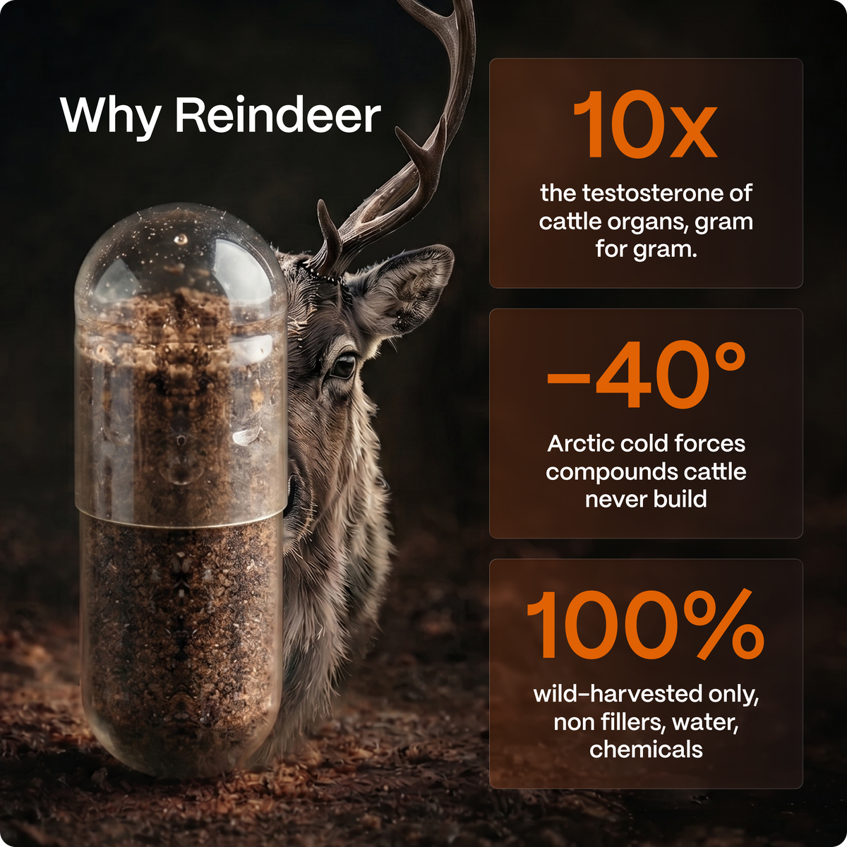 Reindeer Organ Complex