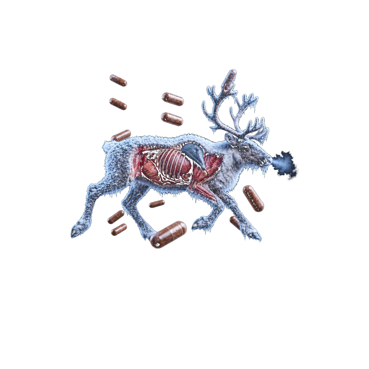 Frost-covered reindeer with its heart and liver glowing through